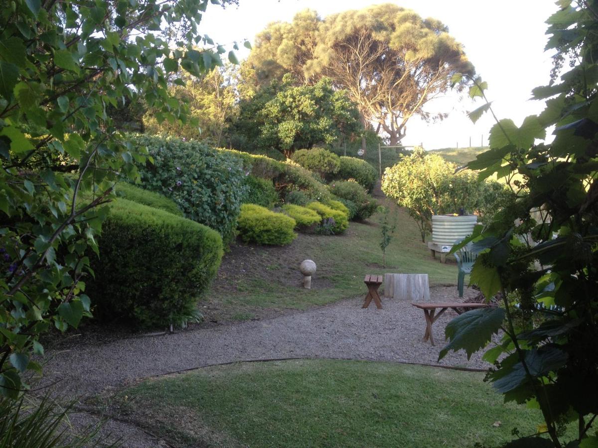 The Potters Garden B&B Rye Luaran gambar